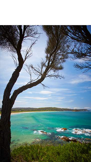 Barlings Beach