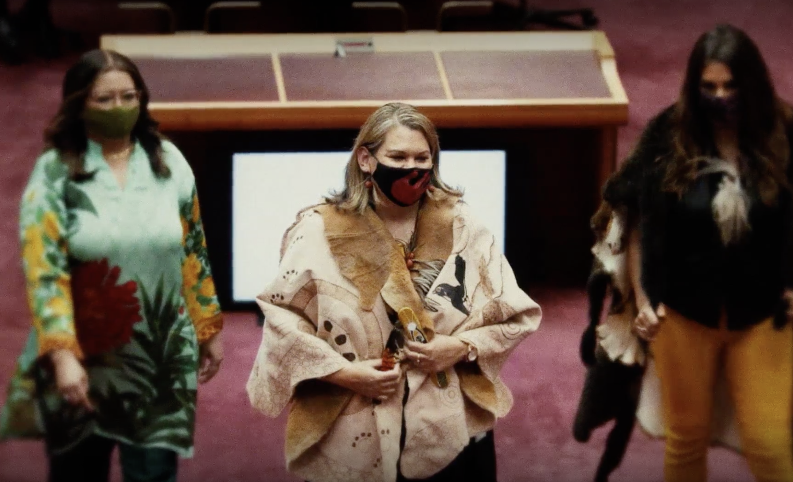 Greens Senator Dorinda Cox in Parliament.