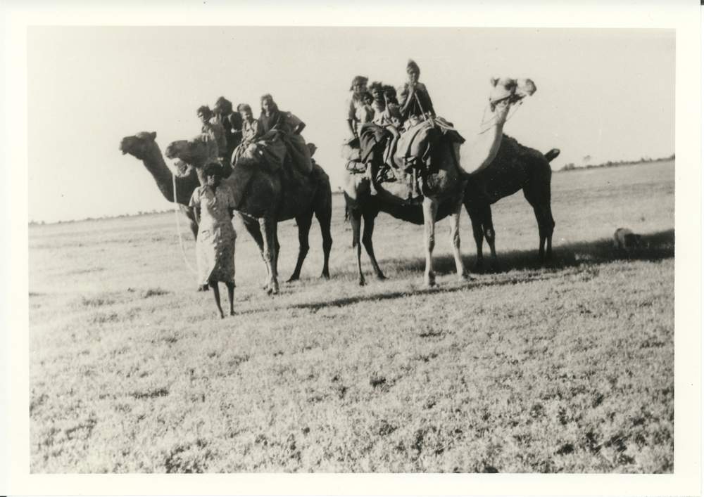 &#39;I used to ride my own camel&#39;, women and children with camels, c. 1940s. (Image: NTAS, Ron Agnew (Const.), NTRS 1641, Item 26)