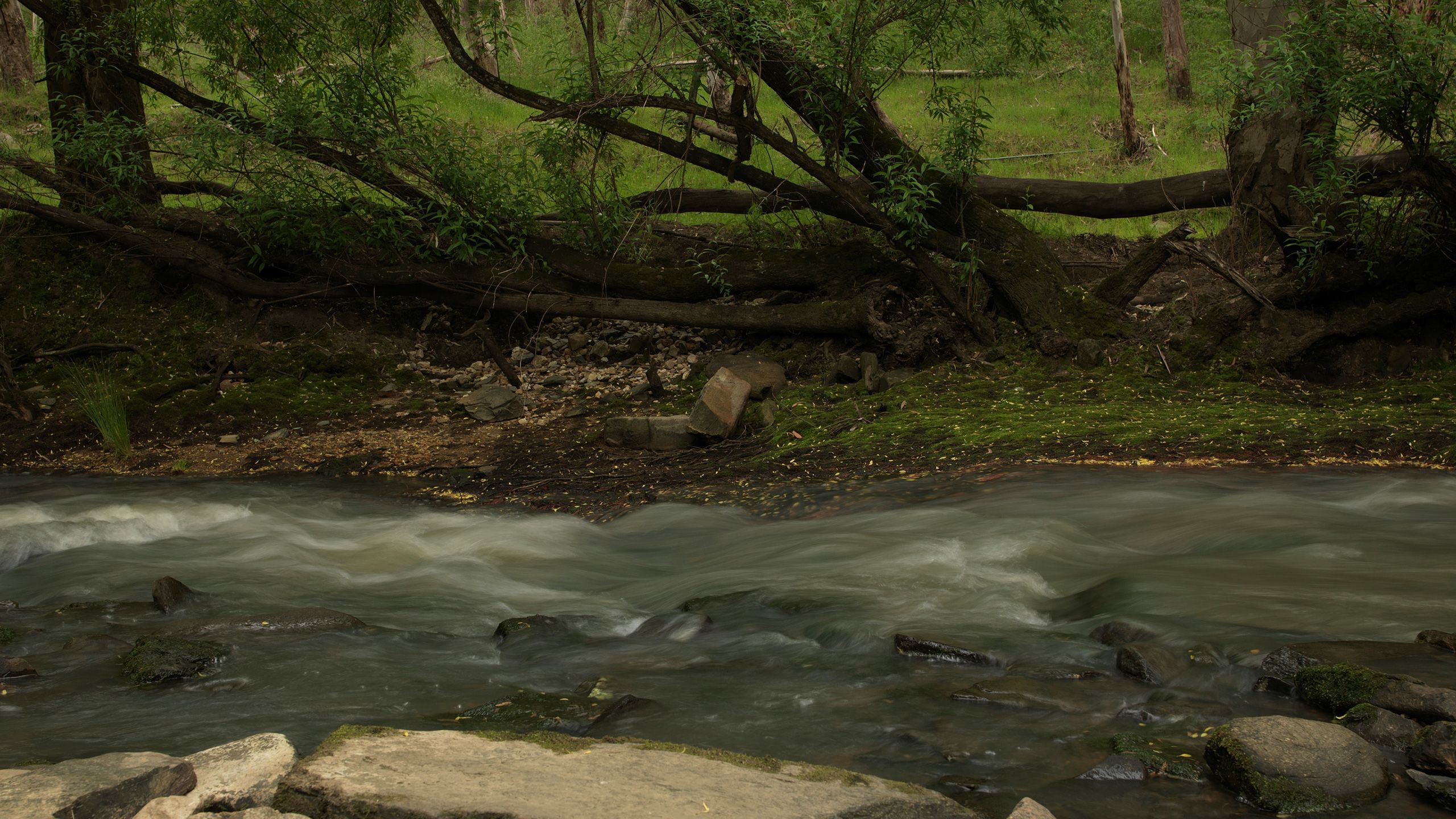 Wendy crossed the Onkaparinga River here. Image: Tamara Dean