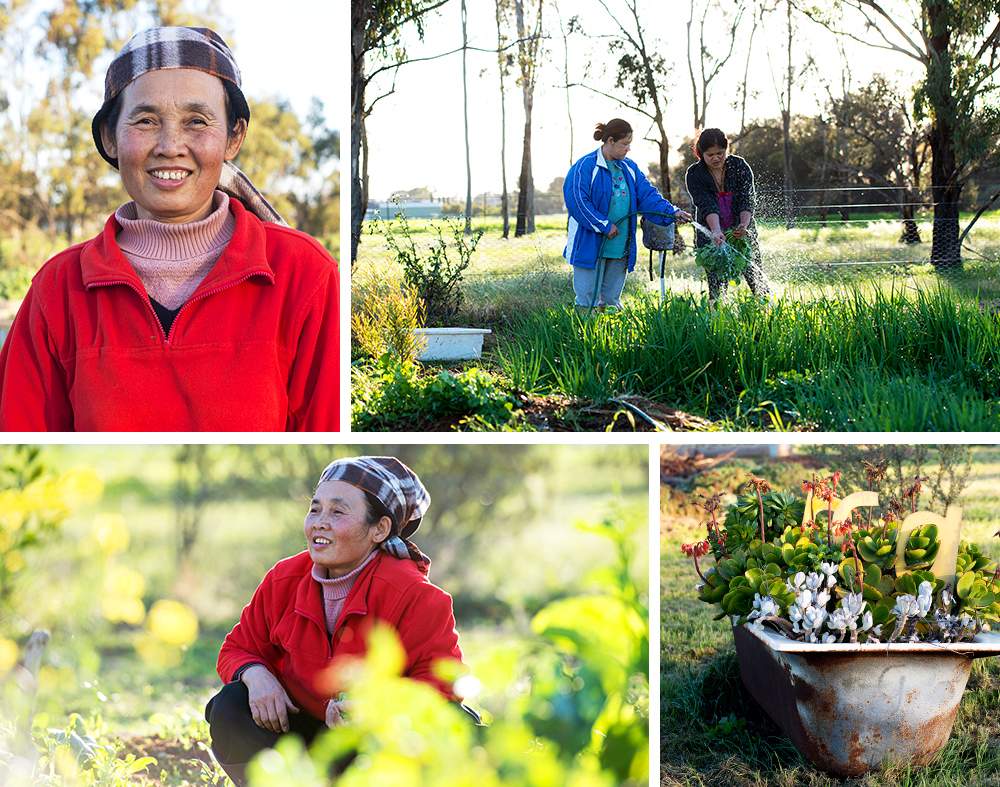 Wah Ka Paw La, left, among new growth in Nhill. Wah Ka Paw La, left, among new growth in Nhill.