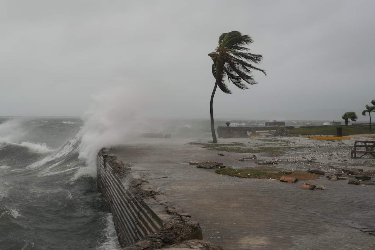 A wave batters a dock with a palm tree pushed over by the wind.