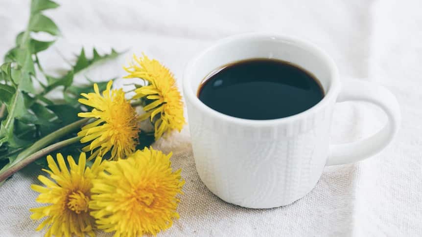 dandelion drink.jpg