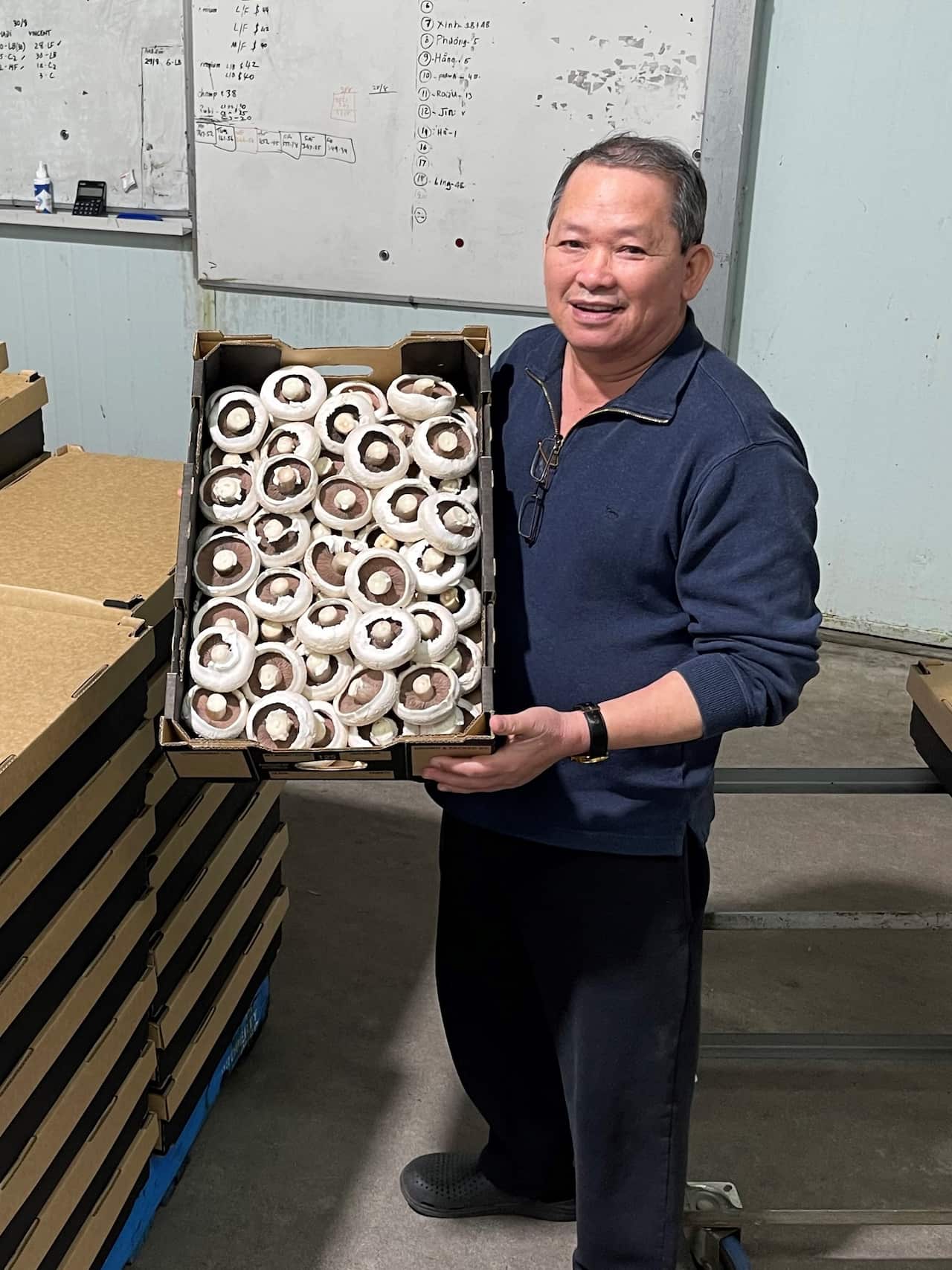 Ông Đoàn Văn Tiếp với khay nấm Field Mushroom