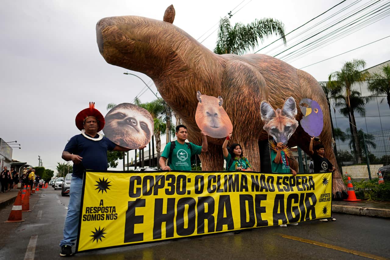 Brazil Climate COP30