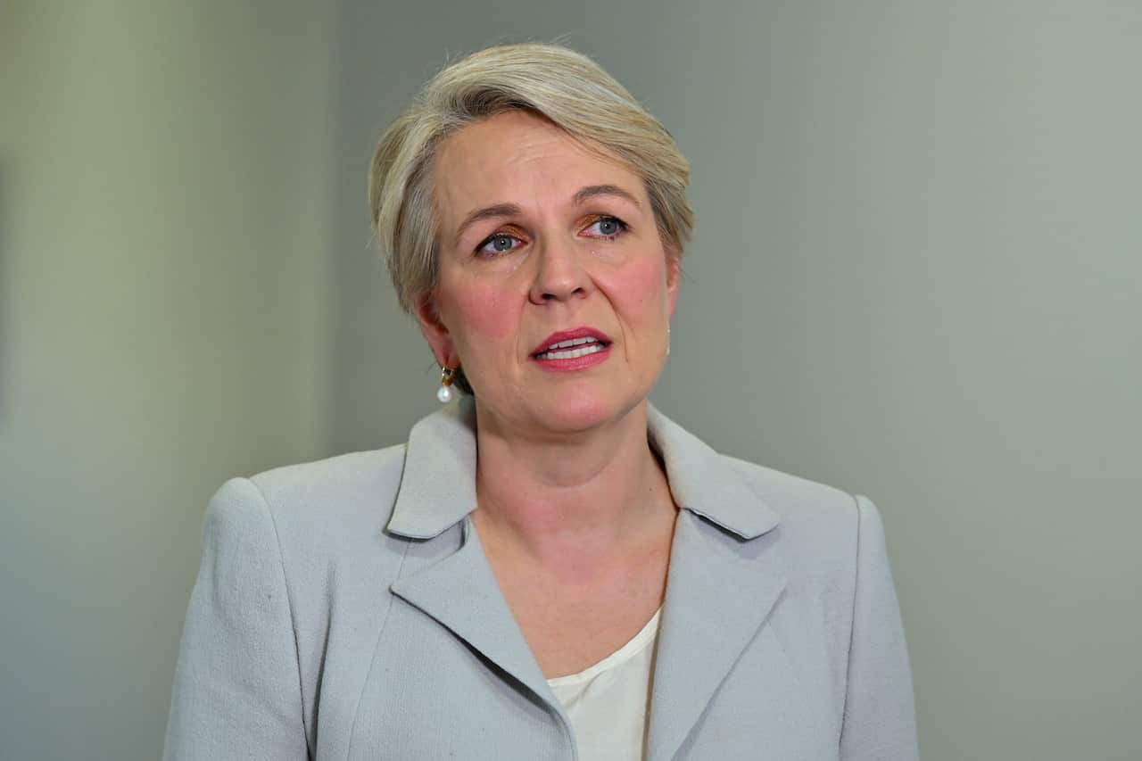 Tanya Plibersek wearing a light blue blazer and talking inside.