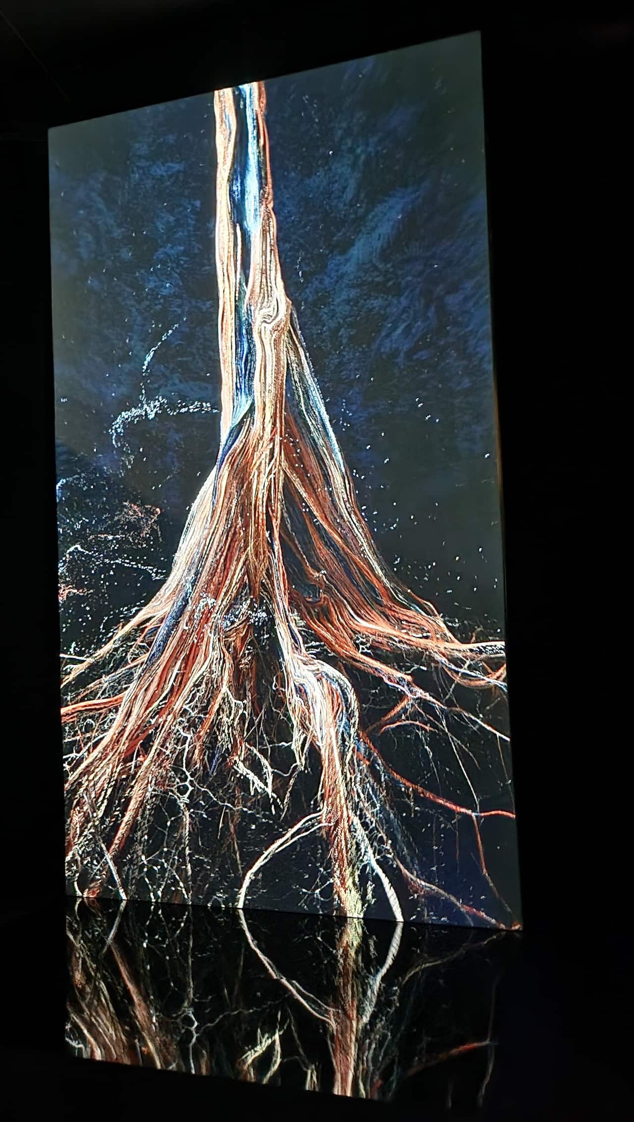 Marshmallow Laser Feast photo2.jpg