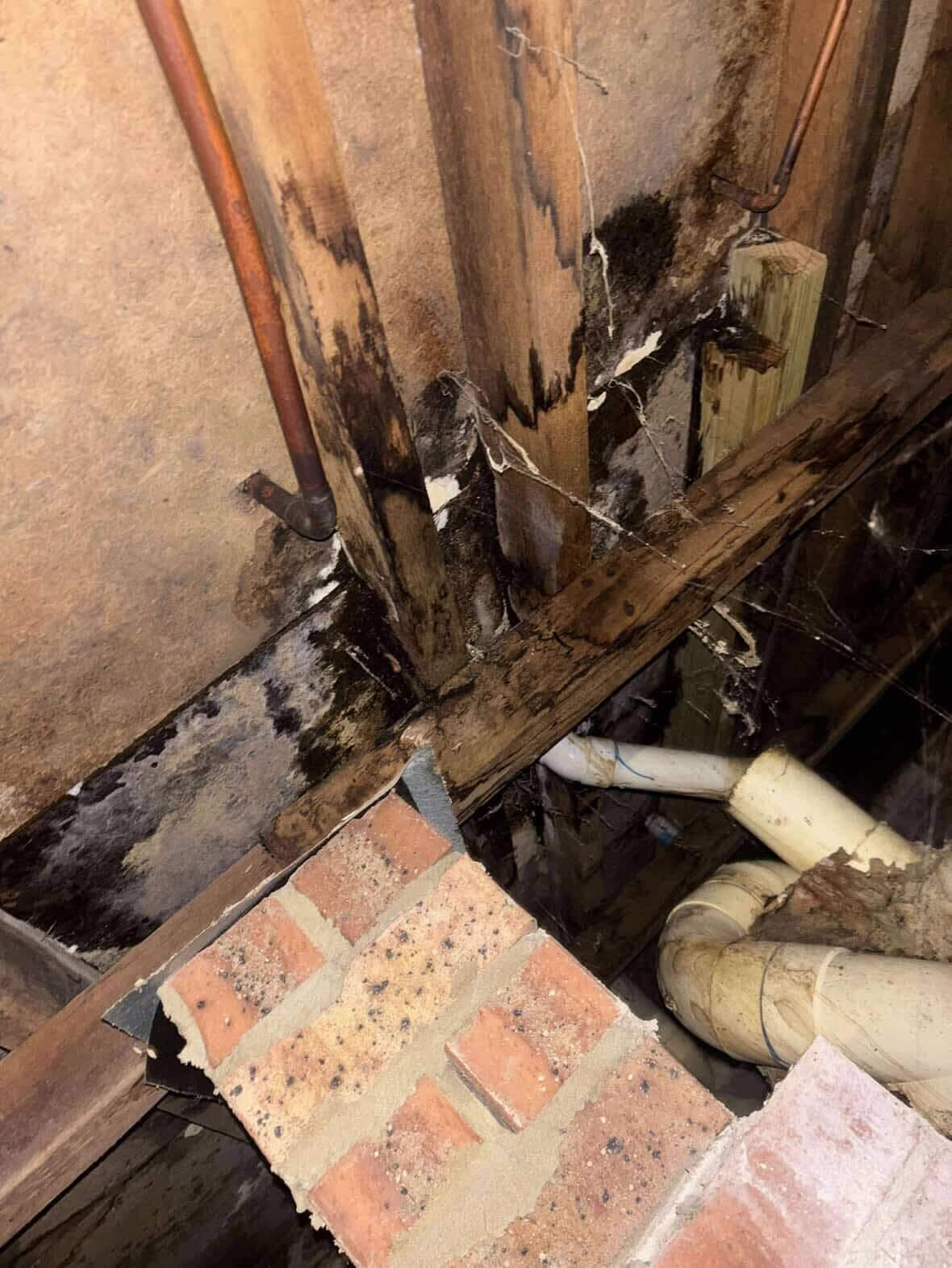 The foundation under a house. 