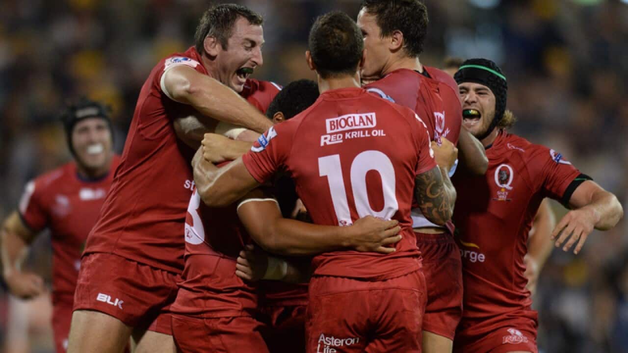 Queensland Reds players