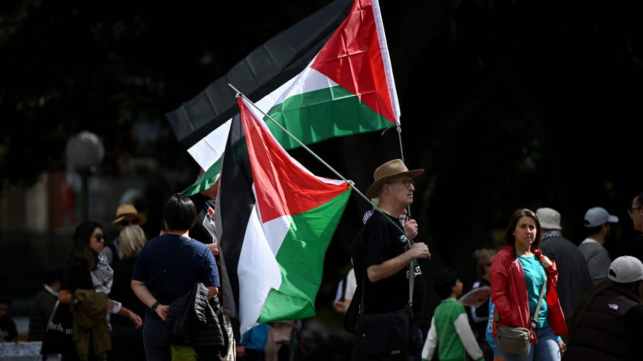 PALESTINE RALLY SYDNEY
