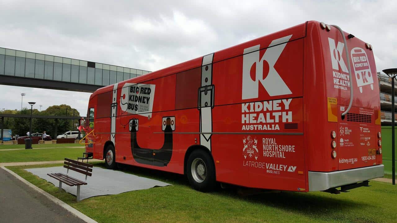 Big Red Kidney Bus