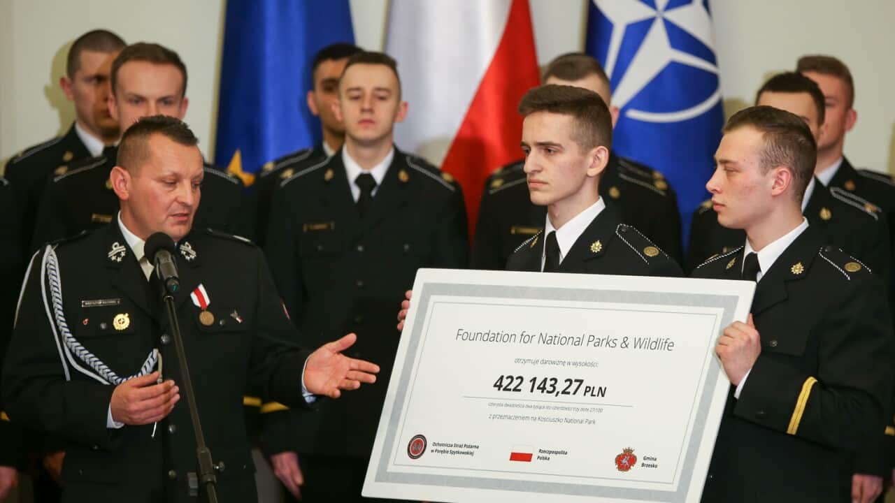 Poland for Bush Fires