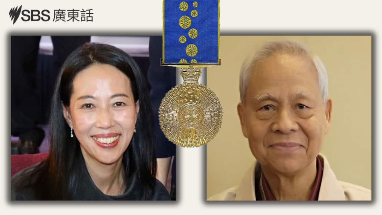 Image for read more article ''