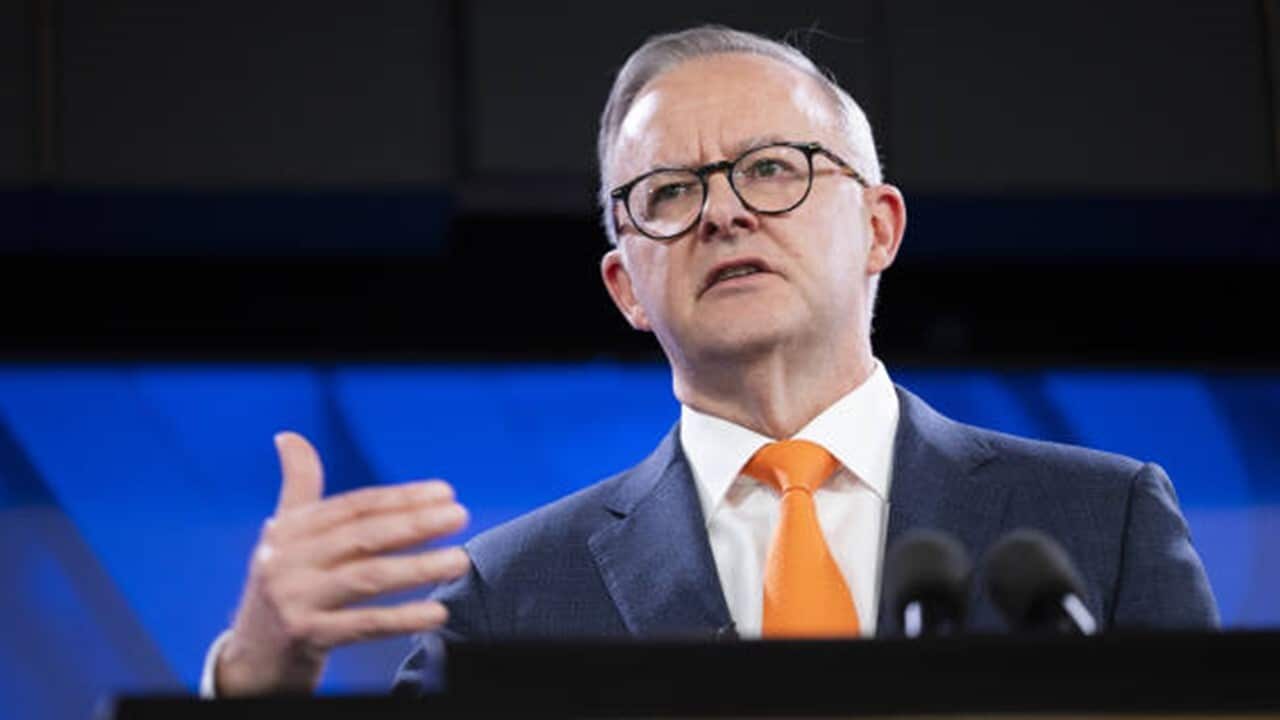 Anthony Albanese, Australia's prime minister.jpg