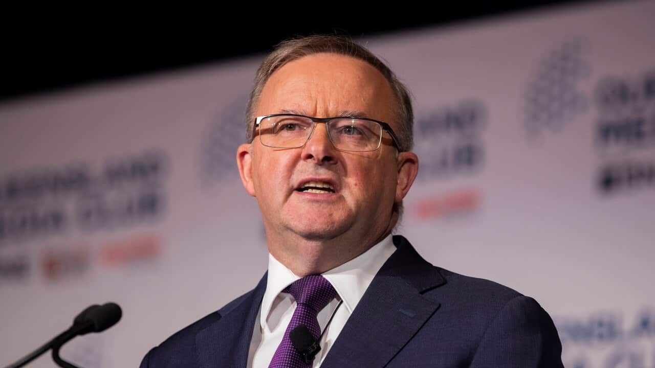 Image for read more article 'Leer también:'