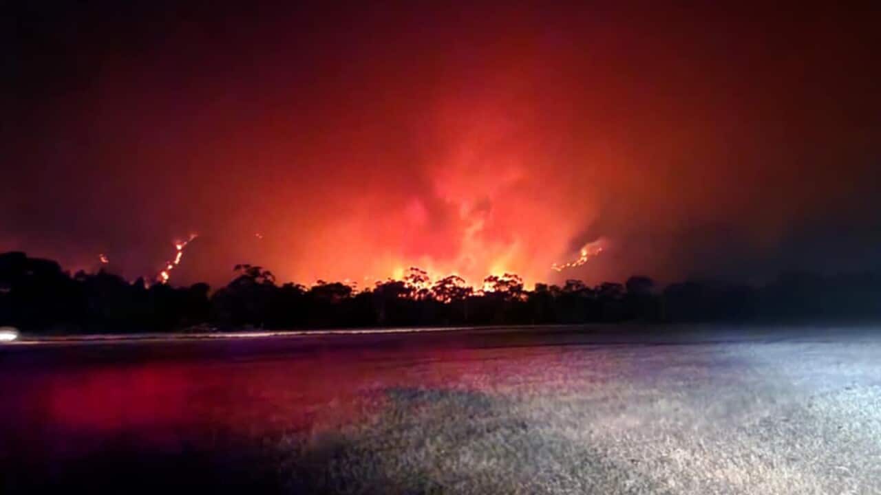 BUSHFIRES VICTORIA