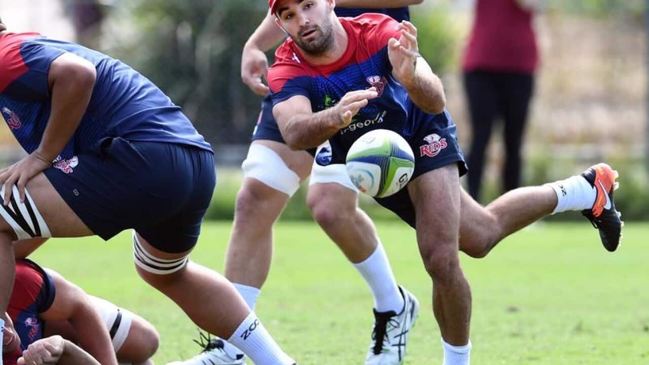 Queensland Reds player Nick Frisby