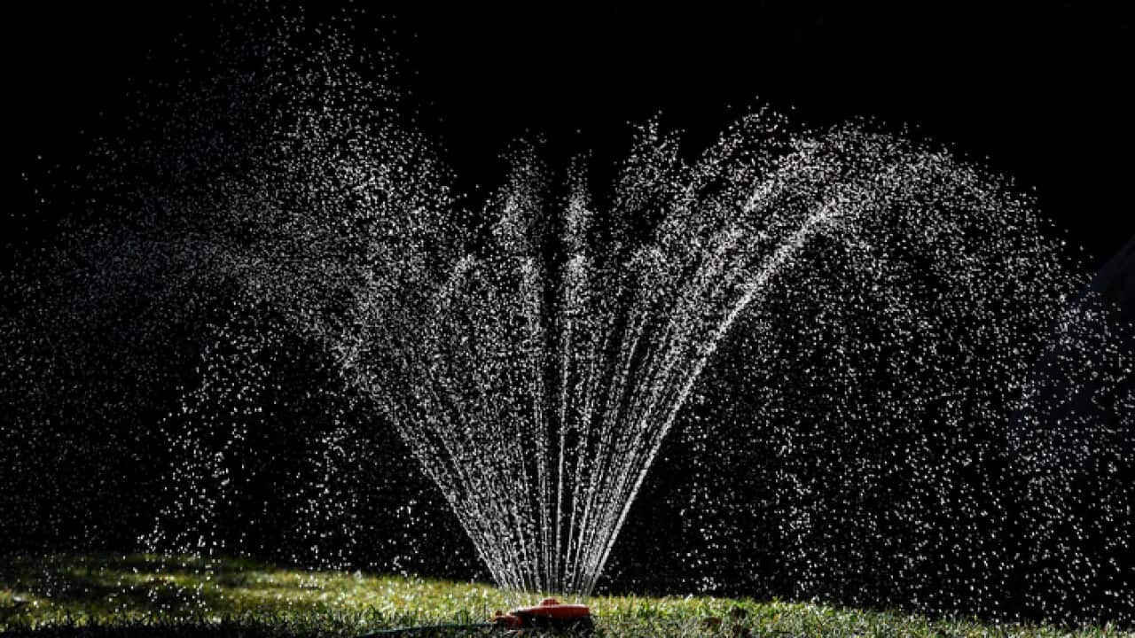 A sprinkler waters a garden