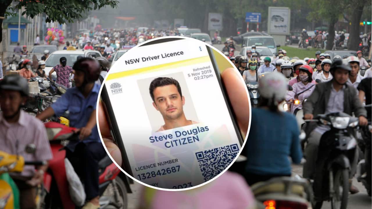 Copy of ALC Header Window Insert (2).png