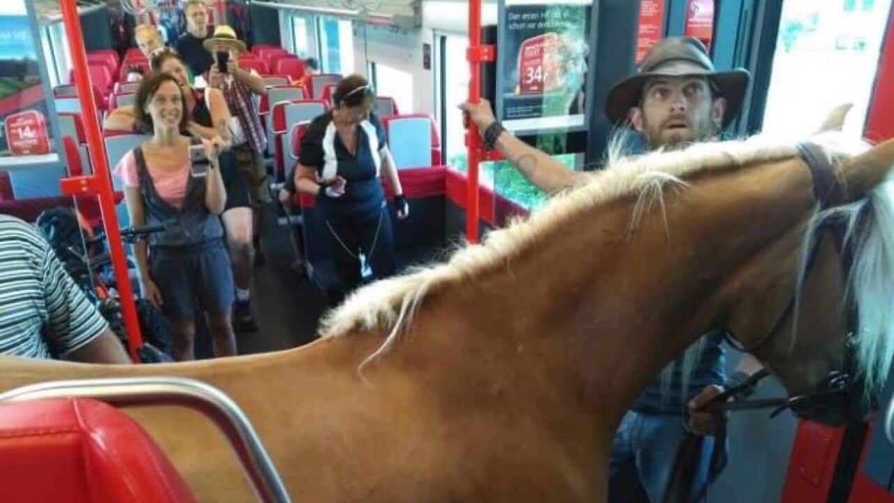 Photos of a man aboard a train in Austria have been shared on social media.
