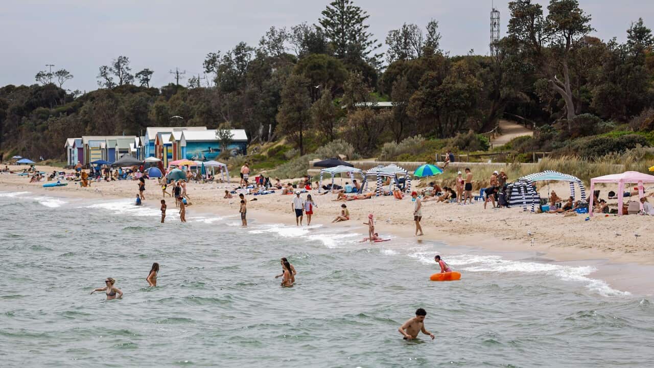 People flock Dromana Beach in Melbourne, Australia - 23 Nov 2024