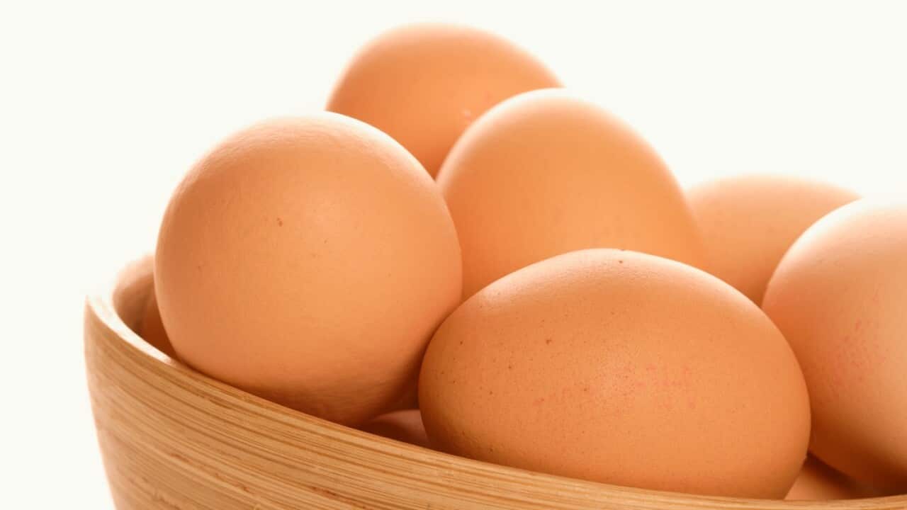 An outbreak of salmonella infection has prompted the recall of eggs from Glendenning Farms.