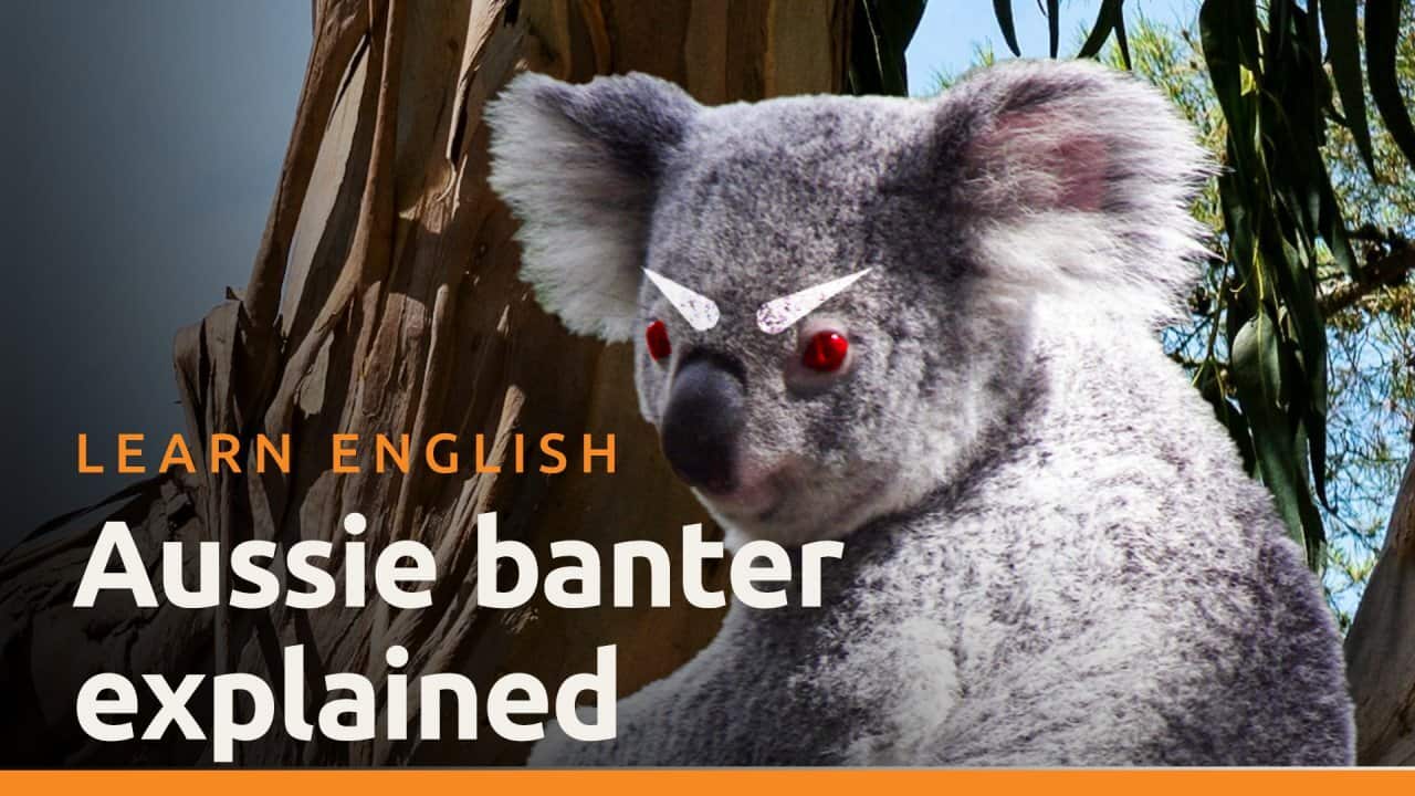 Aussie slang: the art of friendly insults - Weird and Wonderful Aussie English Ep 1
