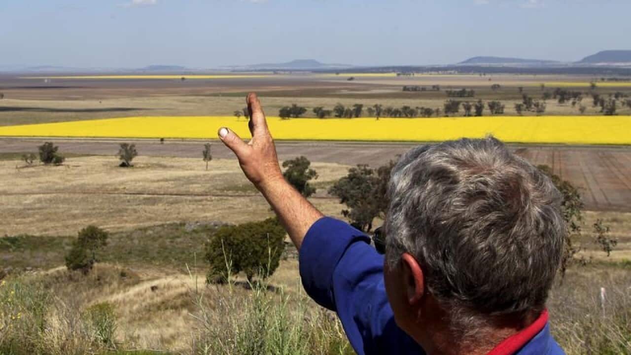 A man points to the proposed site of a coal mine in northern NSW