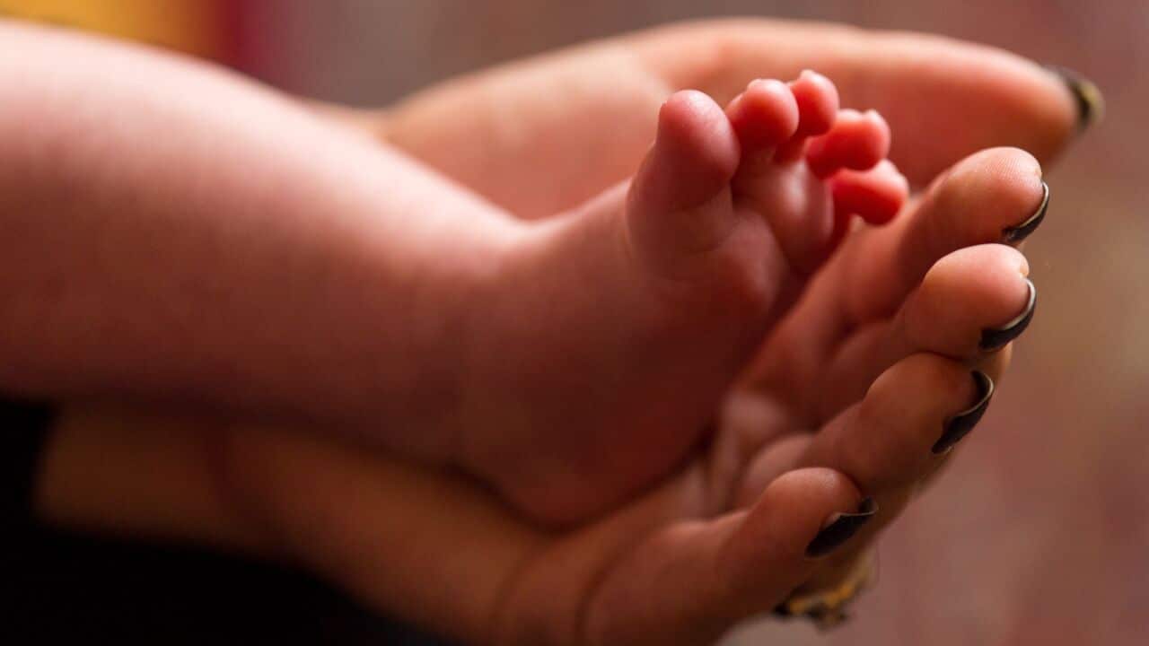 A hand holding a baby foot