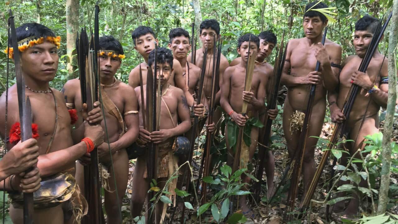 Young men from Brazil's Awa tribe, one of the most endangered groups on Earth (Getty)