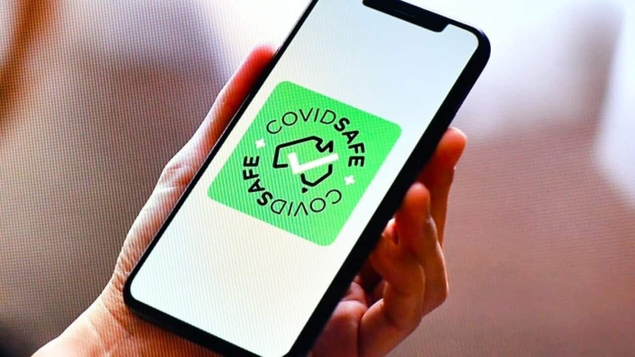 The app was launched on Sunday.