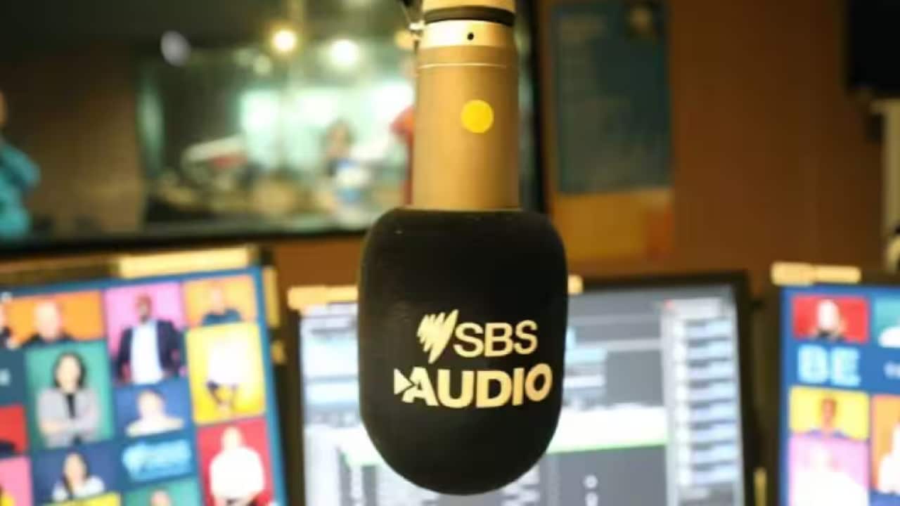 News SBS Audio Mic.png