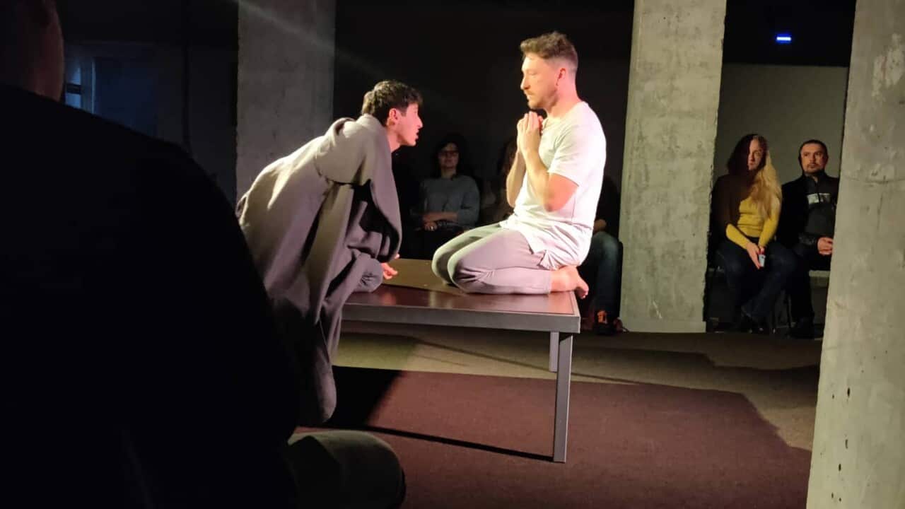 The play Survivor Syndrome.jpg