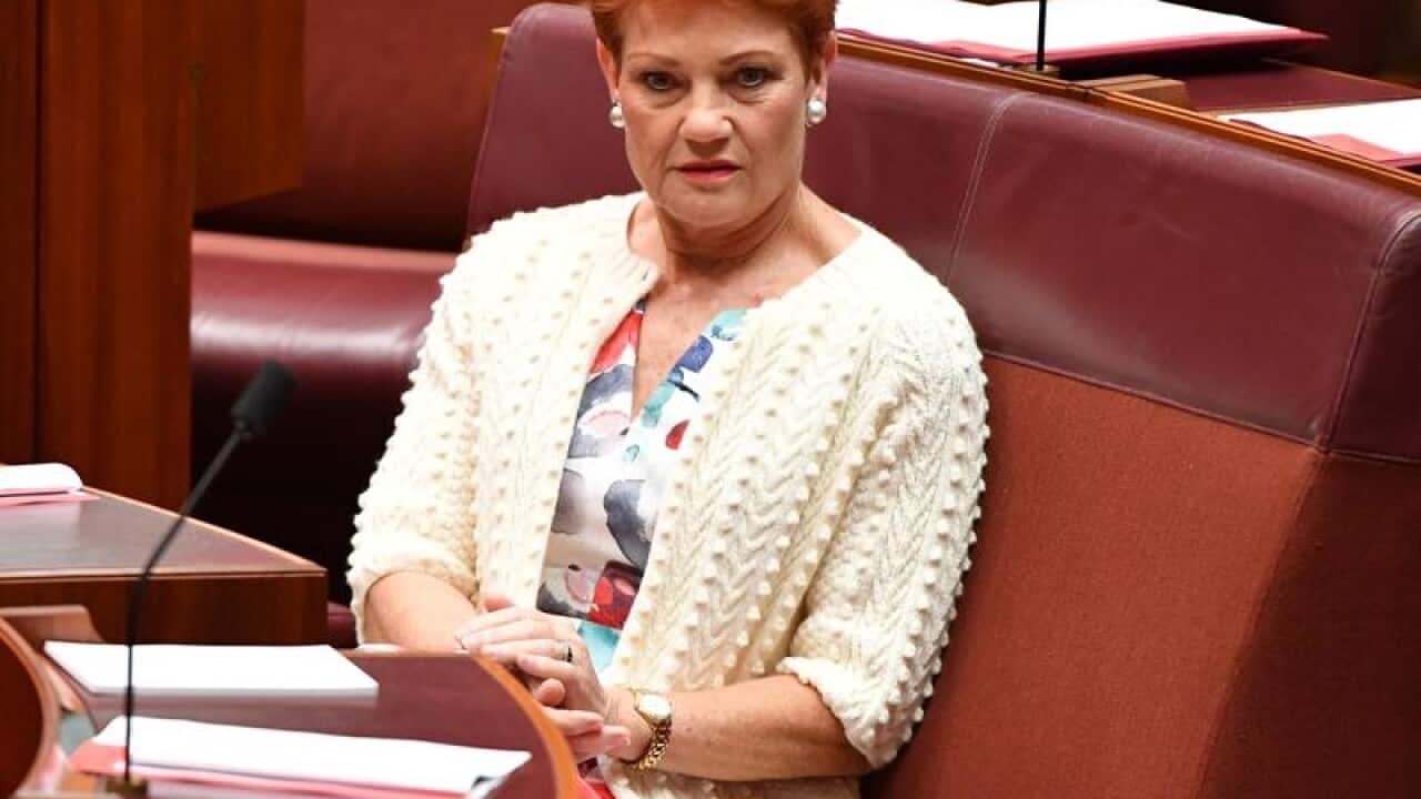 One Nation leader Senator Pauline Hanson sits in the Senate chamber.