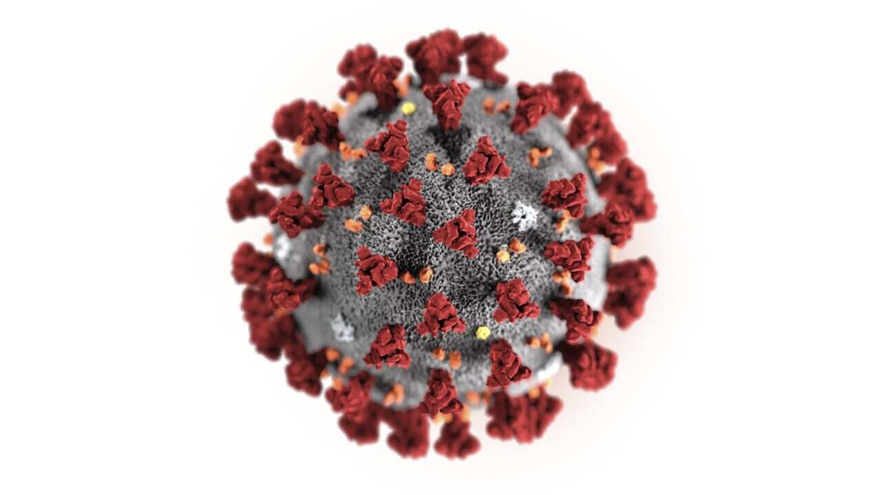 Illustration by the Centers for Disease Control and Prevention showing the Ccoronavirus