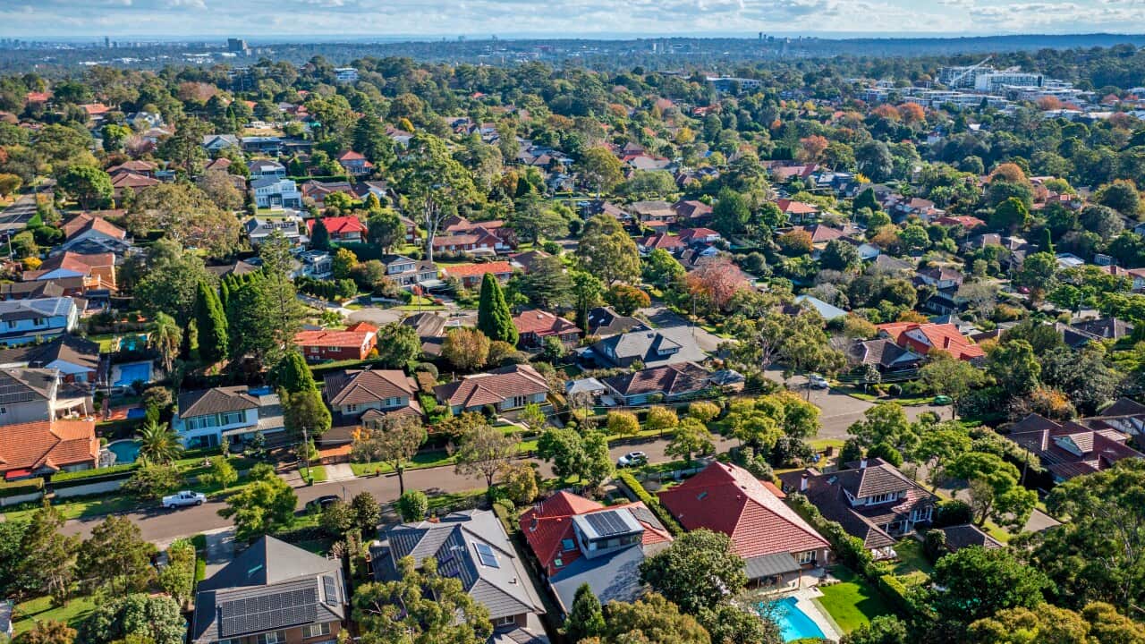 Houses in wealthy suburb, leafy green trees, Roseville, Sydney, aerial view