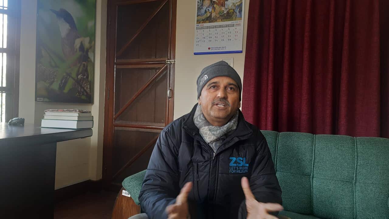 hem raj.jpg