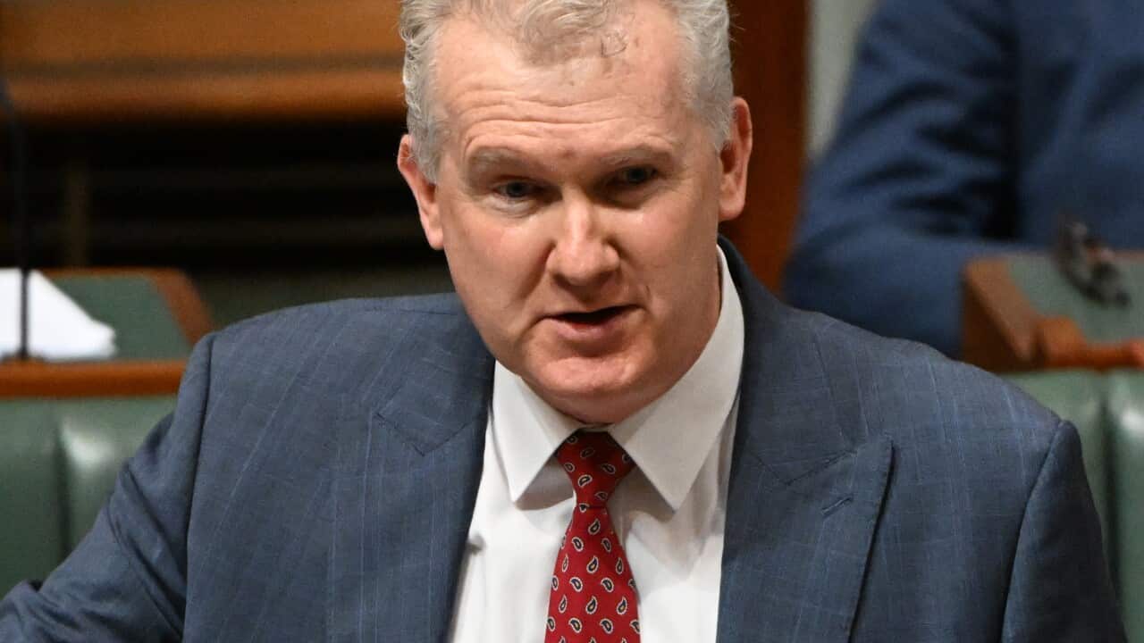 Image for read more article 'READ MORE'