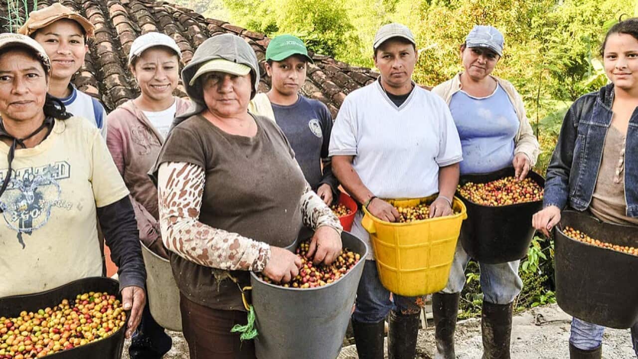 Image for read more article 'READ MORE'