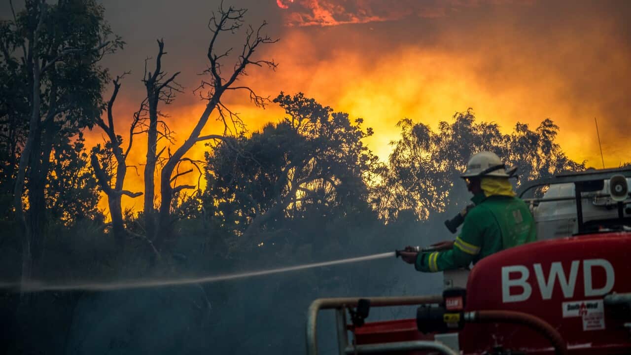 A supplied image showing the Calgardup Bushfire burning in Margaret River, south of Perth in Western Australia, Thursday, December 9, 2021.