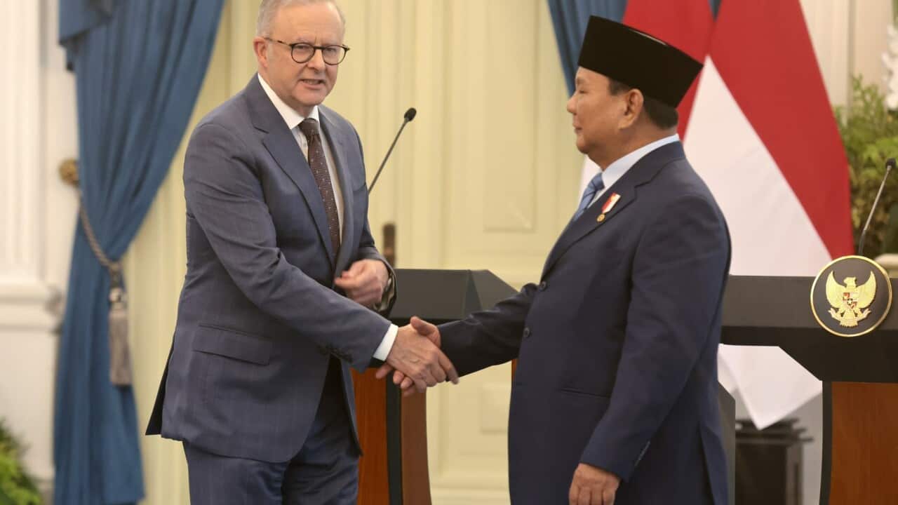 Australian Prime Minister Albanese meets Indonesian President Prabowo in Jakarta