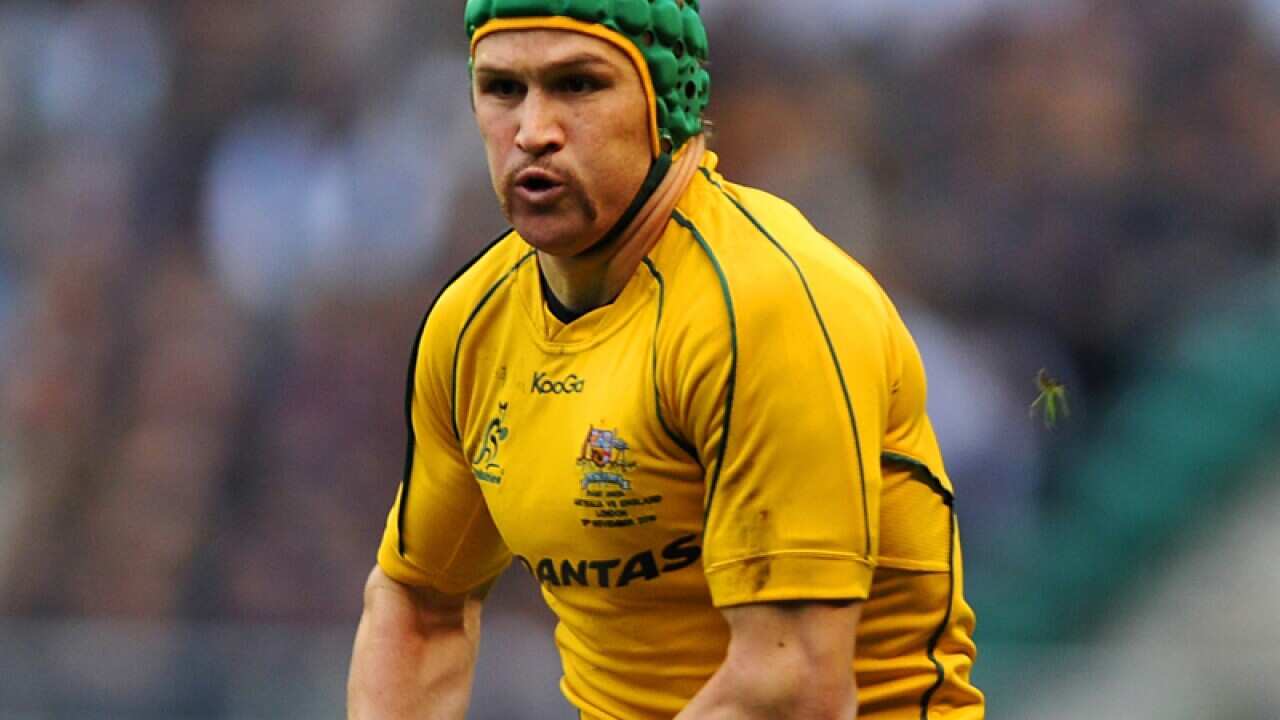 Australia's Matt Giteau