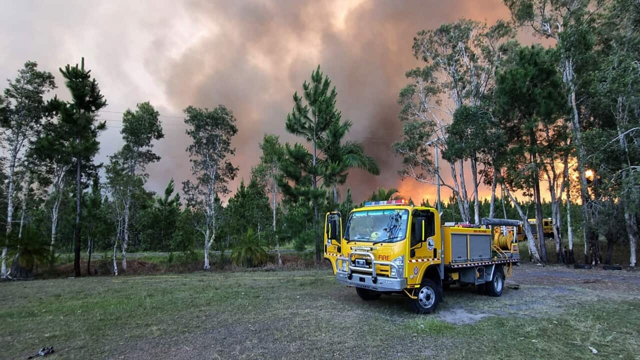 BUSHFIRES QLD