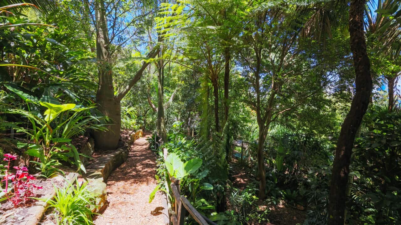 Image for read more article 'READ MORE'