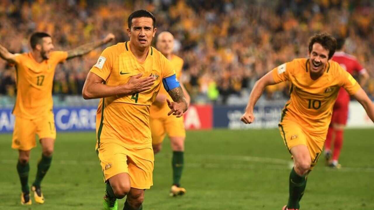 Tim Cahill celebrates after scoring a goal