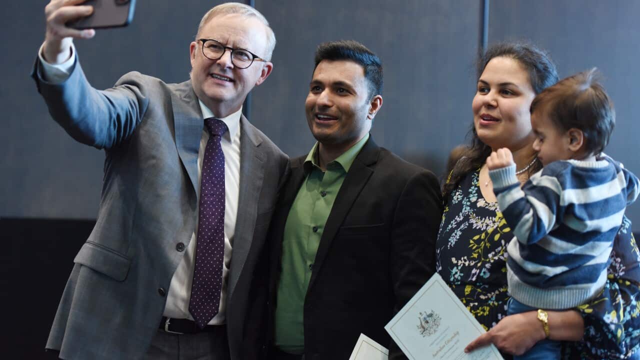 ANTHONY ALBANESE TASMANIA VISIT