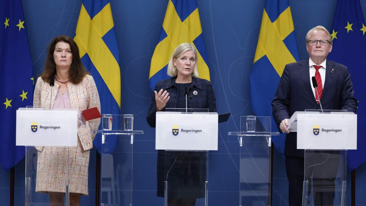 Image for read more article 'READ MORE'