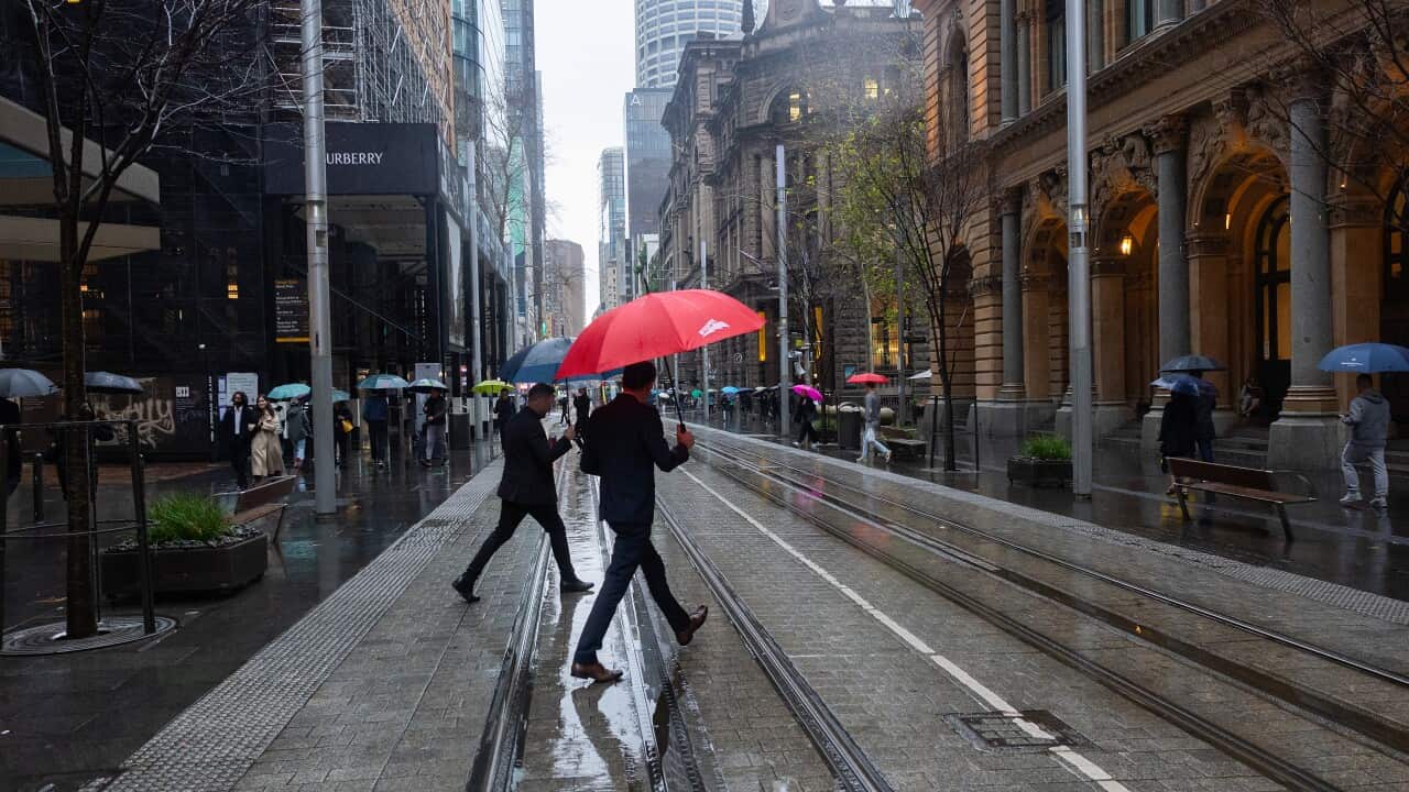 People cross a road holding umbrellas