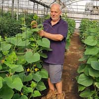 الفضل يعود للعرب: هكذا وصل "الخيار اللبناني" إلى أستراليا