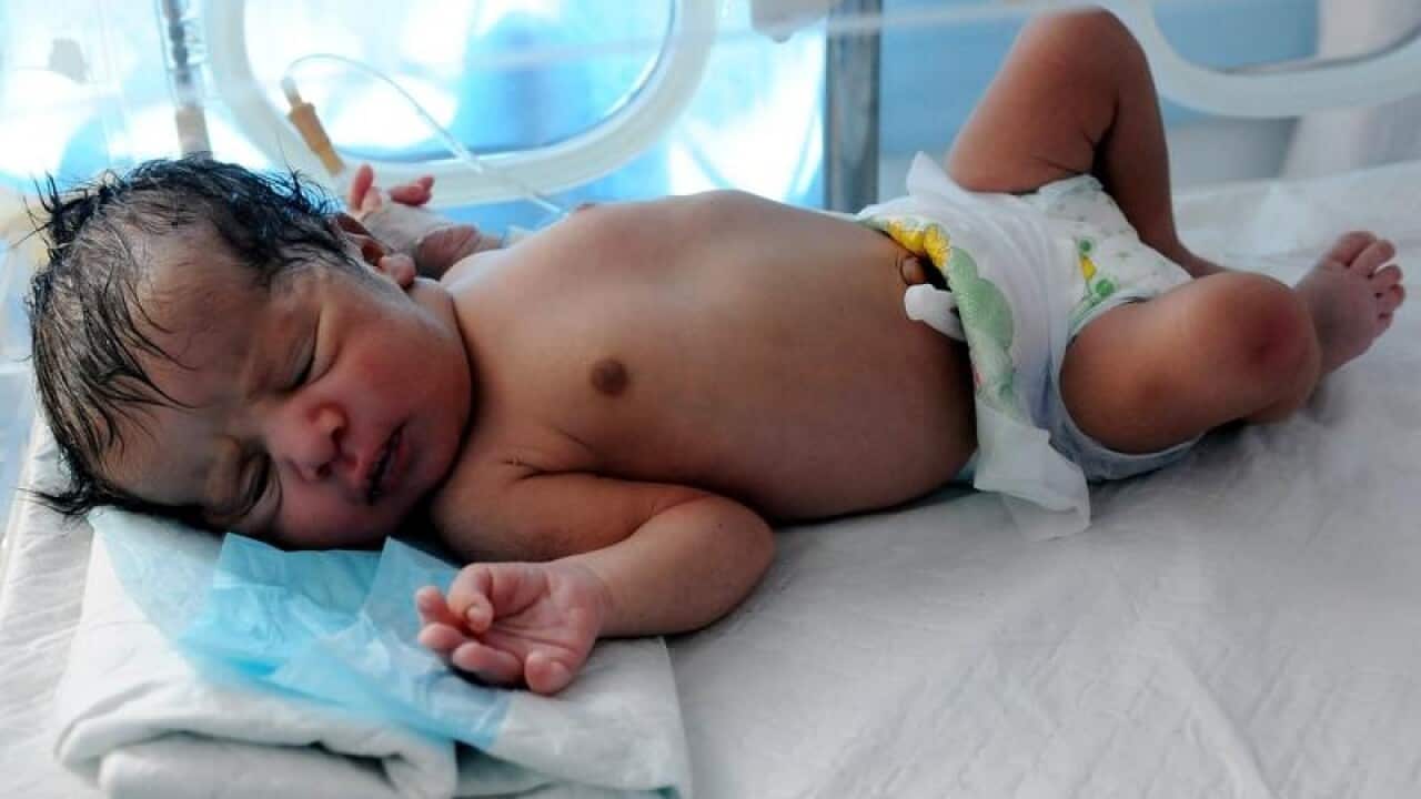 A newborn baby lies in an incubator